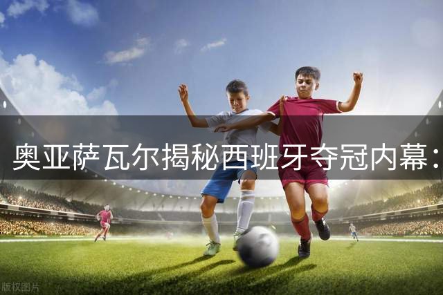 奥亚萨瓦尔揭秘西班牙夺冠内幕：团队默契与战术自信铸就世界杯辉煌