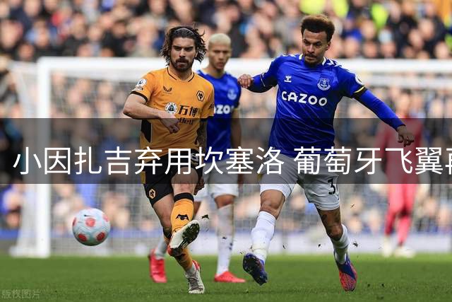 小因扎吉弃用坎塞洛 葡萄牙飞翼再遭边缘化