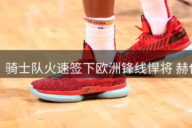 骑士队火速签下欧洲锋线悍将 赫佐尼亚一年合约填补阵容空缺